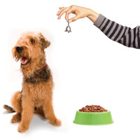 This is a photo of a dog, dog food, and a person ringing a bell.