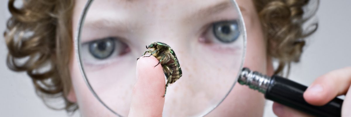 Young Boy Examining A Beetle Through Magnifying Glass