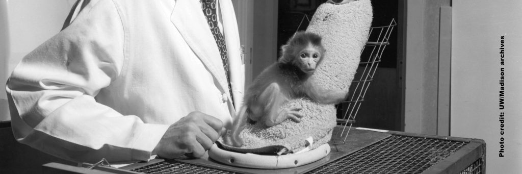 monkey isolation experiment