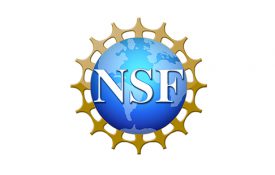 Apply for a NSF Postdoctoral Research Fellowship