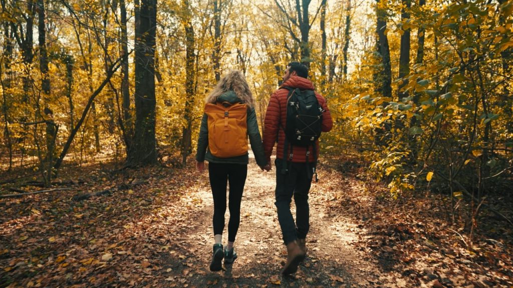 Two people walking through the woods while holding hands.