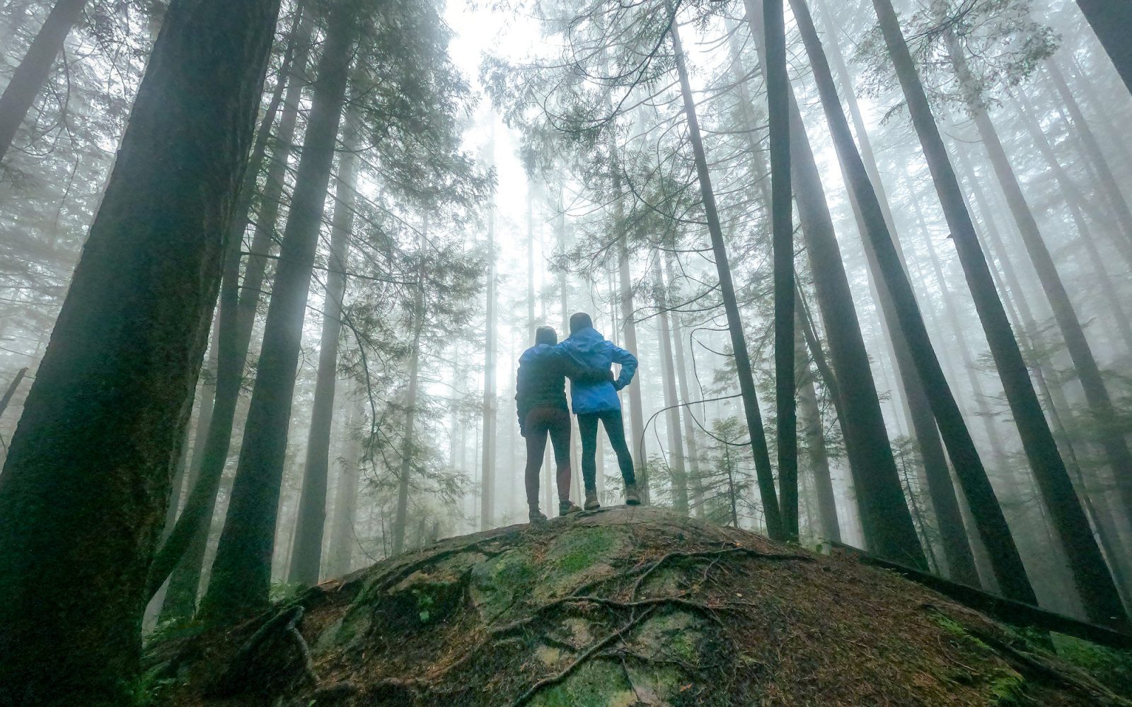 Wide shot of two people standing in the woods, facing away from the camera.